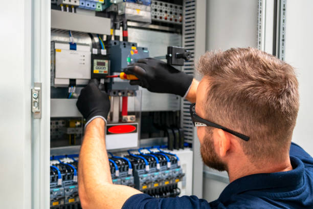 Best Local Electrician Companies  in Williamsburg, FL