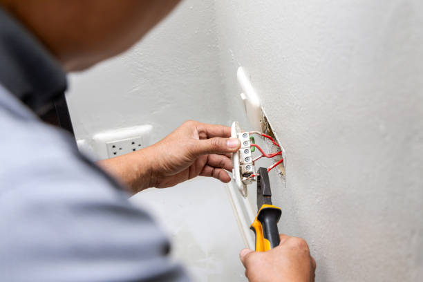 Best 24-Hour Electrician  in Williamsburg, FL