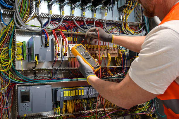 Best Home Electrical Repair  in Williamsburg, FL